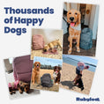Load image into Gallery viewer, The Original Doggy Bag™ Backpack for Dog Supplies