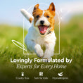 Load image into Gallery viewer, Pet Stain & Odor Remover
