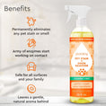 Load image into Gallery viewer, Pet Stain & Odor Remover