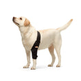 Load image into Gallery viewer, NeoAlly Elbow and Shoulder Brace for Dogs and Cats - Optimal Support for Pet Mobility