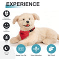 Load image into Gallery viewer, Percy Robot Cat - Interactive Emotional Support Pet Weighted
