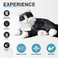 Load image into Gallery viewer, Percy Robot Cat - Interactive Emotional Support Pet Weighted
