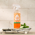 Load image into Gallery viewer, Pet Stain & Odor Remover
