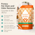 Load image into Gallery viewer, Pet Stain & Odor Remover
