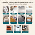 Load image into Gallery viewer, Pet Stain & Odor Remover
