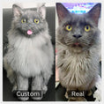 Load image into Gallery viewer, Custom Pet Plush from Photo – Memorial Keepsake for Dogs & Cats
