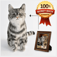 Load image into Gallery viewer, Custom Pet Plush from Photo – Memorial Keepsake for Dogs & Cats
